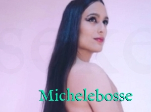 Michelebosse