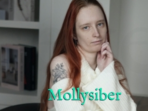 Mollysiber