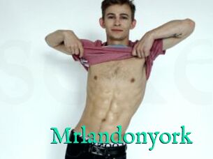 Mrlandonyork