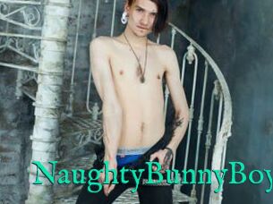 NaughtyBunnyBoy