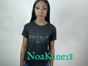 NoaKane18