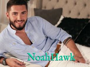 NoahHawk