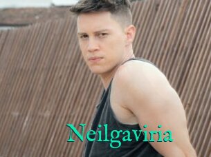 Neilgaviria