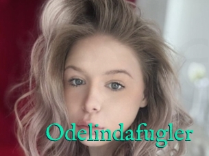 Odelindafugler
