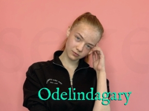 Odelindagary