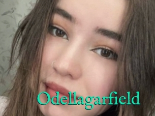 Odellagarfield