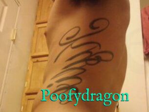 Poofydragon