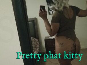 Pretty_phat_kitty