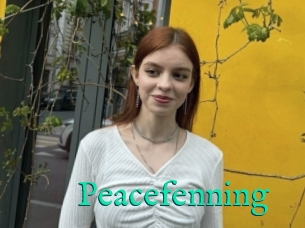 Peacefenning