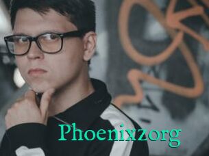 Phoenixzorg