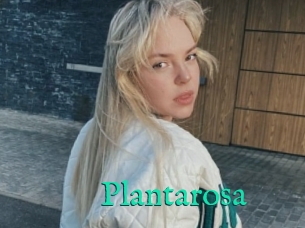 Plantarosa