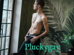 Pluckygay