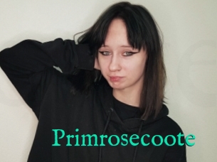 Primrosecoote