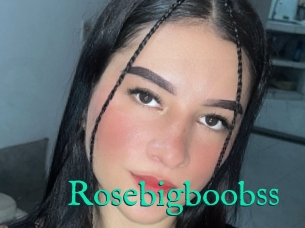 Rosebigboobss