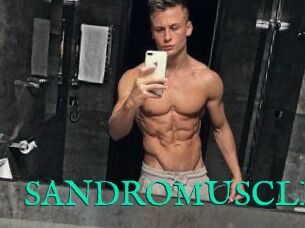 SANDRO_MUSCLE