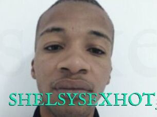 SHELSYSEXHOT32