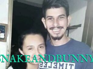 SNAKEANDBUNNY