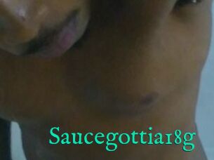 Saucegottia18g