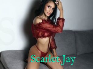 Scarlet_Jay