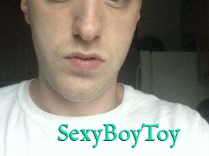 SexyBoyToy