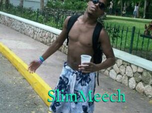SlimMeech