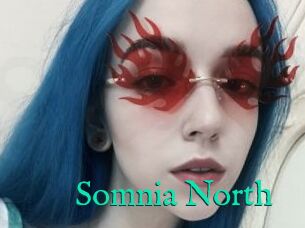 Somnia_North