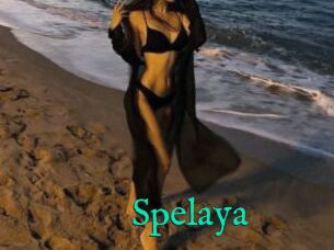 Spelaya