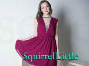 SquirrelLittle