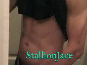 StallionJace
