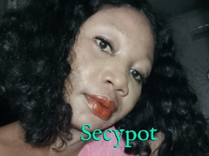 Secypot
