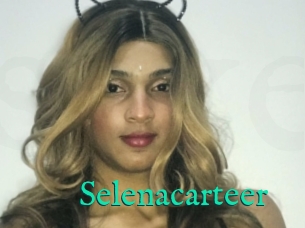 Selenacarteer