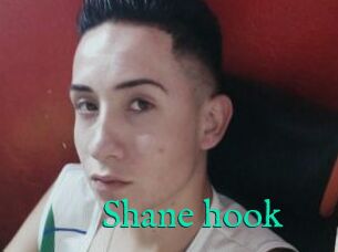 Shane_hook