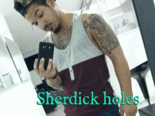 Sherdick_holes