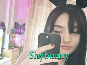 Shybunny