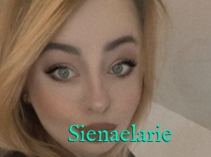 Sienaelarie