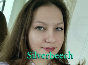 Silverbeech