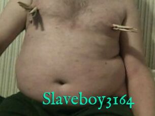 Slaveboy3164