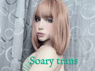 Soary_trans