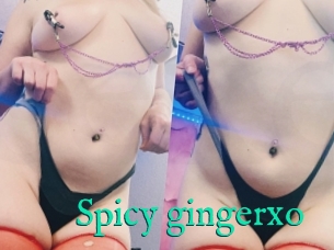 Spicy_gingerxo