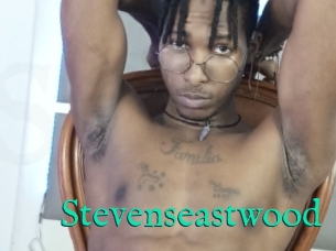 Stevenseastwood
