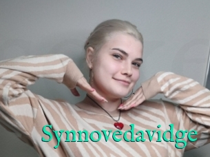 Synnovedavidge