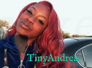 TinyAndrea