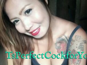 TsPerfectCockforYou