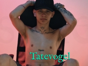 Tatevogel