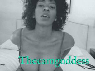 Thecamgoddess