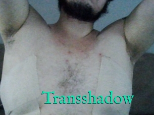 Transshadow