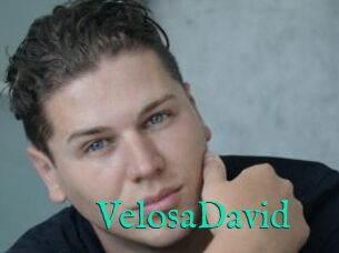 VelosaDavid