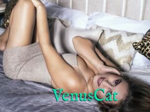 VenusCat