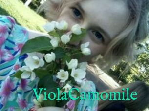 ViolaCamomile