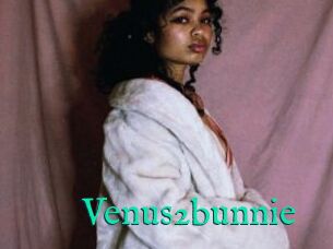 Venus2bunnie